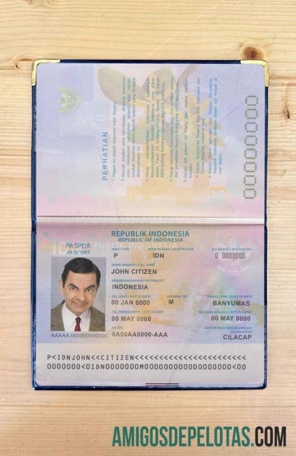 Look fotográfico do Passe Indonésia baixar para verificação